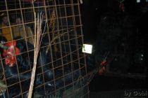 Toifitog2002 Kessn 0669