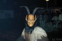 Toifitog2002 Kessn 0683