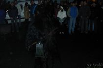 Toifitog2002 Kessn 0695