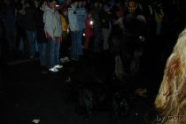 Toifitog2002 Kessn 0697