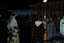 Toifitog2002 Kessn 0724