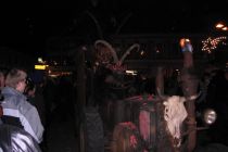Hollabrunn2003 06