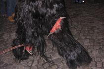 Hollabrunn2003 14
