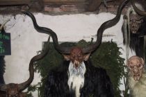 121