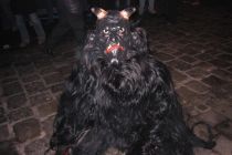 Hollabrunn 2005 12 03 024