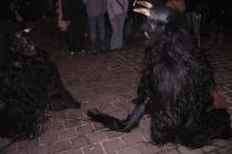 Hollabrunn 2005 12 03 026