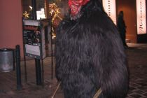 Hollabrunn 2005 12 03 029