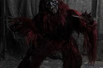 Fotoshooting 2077 55558