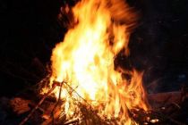 Grillen 2010 1a