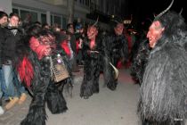 Freilassing 2011 1n