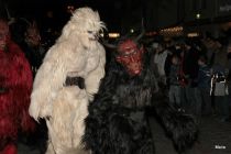 Freilassing 2011 1t