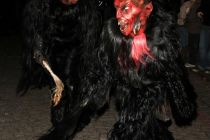 Freilassing 2011 1u