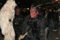 Freilassing 2011 1v