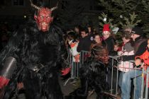 Freilassing 2011 2d