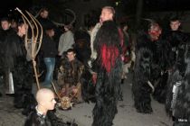 Freilassing 2011 2z