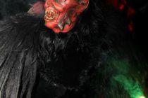 Hollabrunn 2012 2g