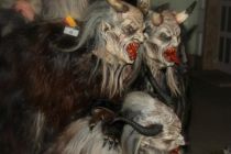 Hollabrunn 2012 2y