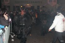 5.12.2013koasapass52