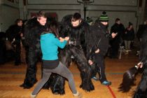Hollabrunn 2013 1e
