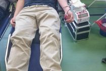 Blut16