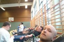 Blut19