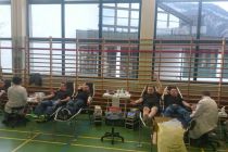 Blut22