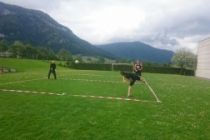 2volkerball9