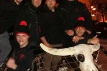 Hollabrunn 2015 1i