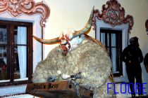Nikolaus 2015 120524 Scale 800 700