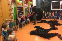 Kindergarten 2018 C