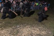 Lengdorf 2018 1818188