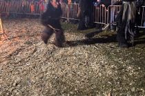 Lengdorf 2018 1818189