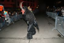 Hollabrunn 2022 0505050561