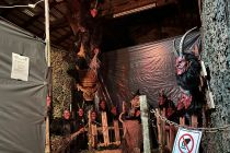 Maskenausstellung Oberndorf B8