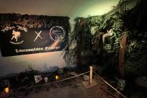 Maskenausstellung 2023 0093