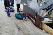 Snow 12